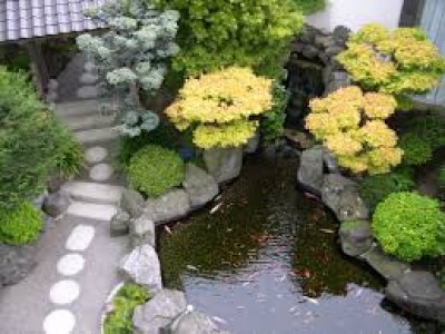 Vườn Nhật với sự kết hợp của nước