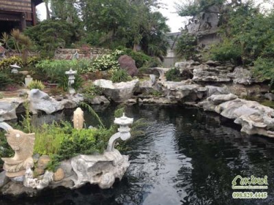 Công trình hồ cá koi và sân vườn